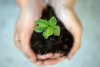 Sustainable Living